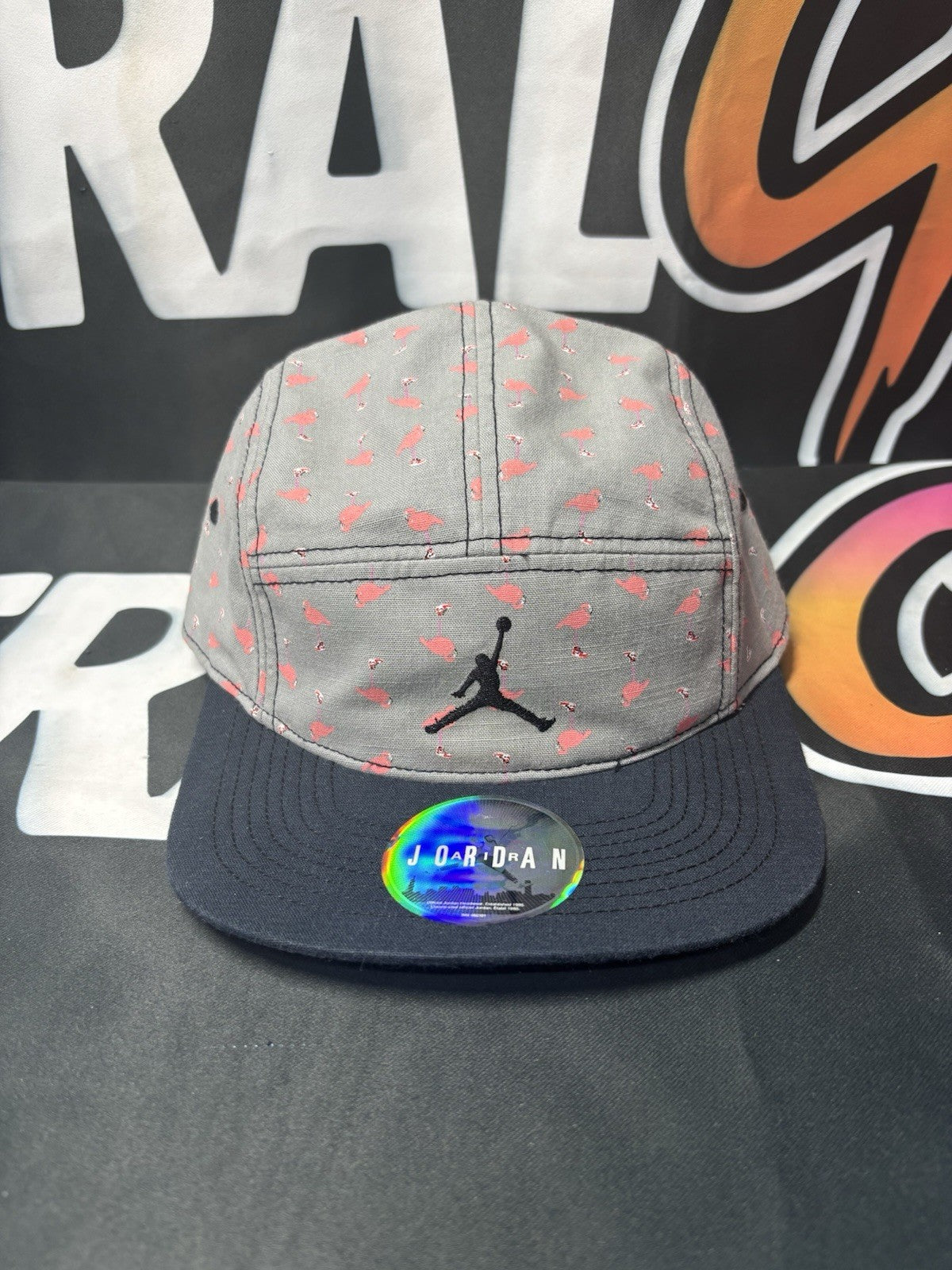 Nike Air RARE Air Jordan Chicago 1 Flamingo 5 Panel Jumpman Hat