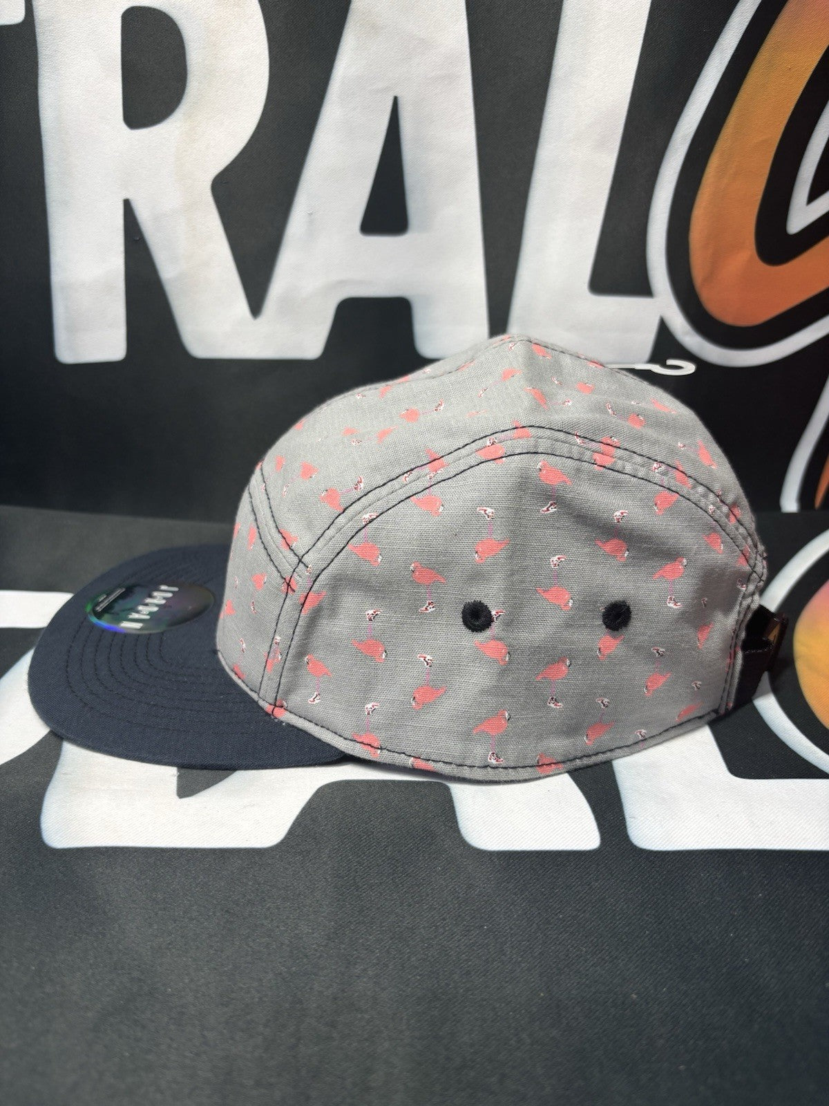 Nike Air RARE Air Jordan Chicago 1 Flamingo 5 Panel Jumpman Hat