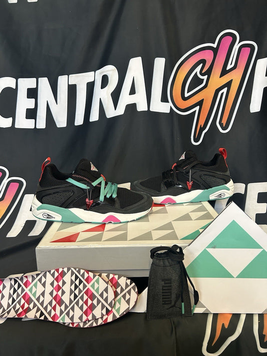 Size 10.5 - PUMA Sneaker Freaker x Blaze of Glory OG 5YR Black Beast Special Box