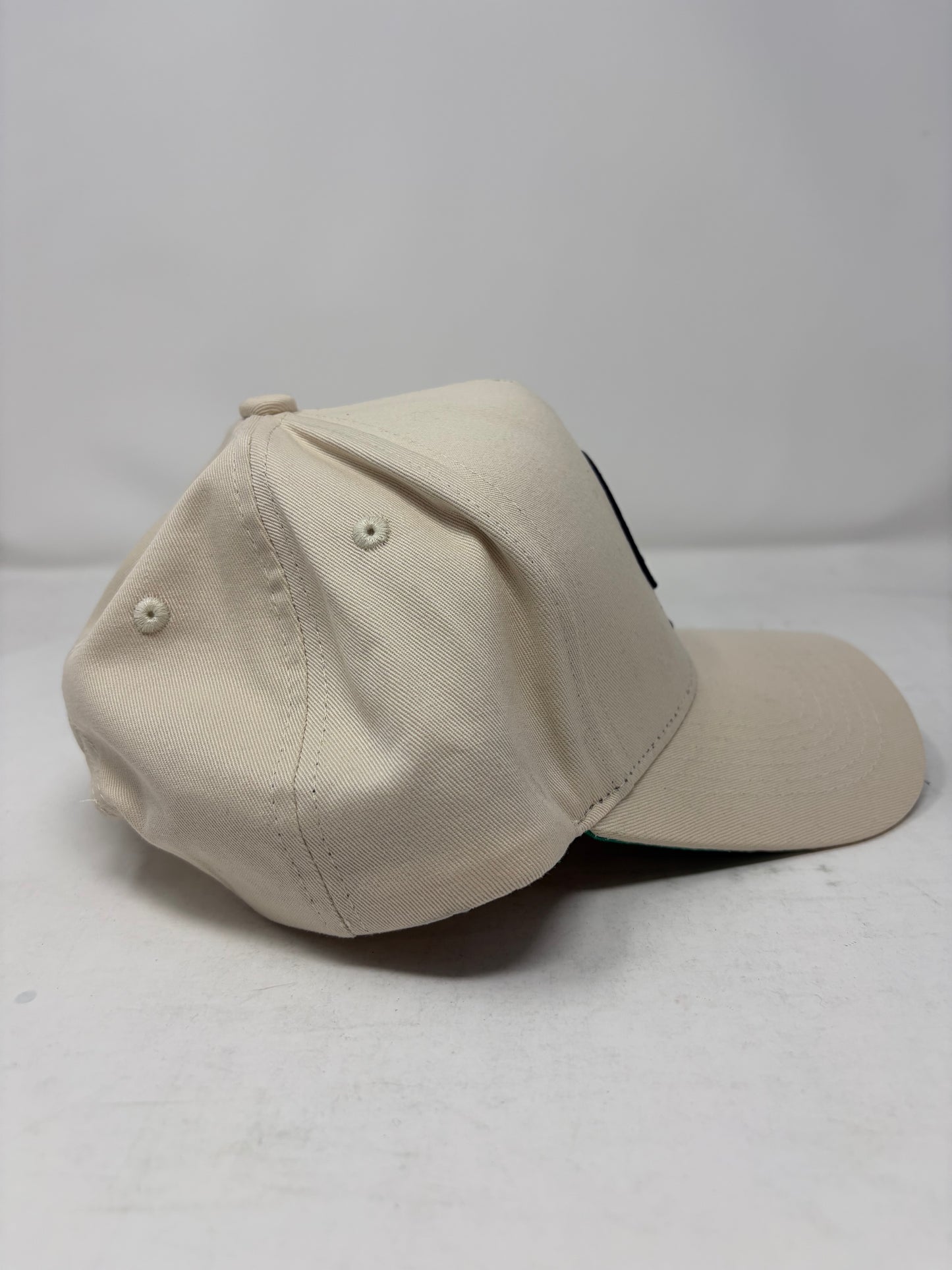 Central Hype Embroidered Rose Logo Beige SnapBack Hat