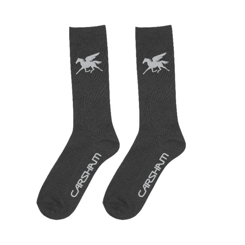 Arsham Studios X ComplexCon 'Carsham' Socks 'Bark Brown'