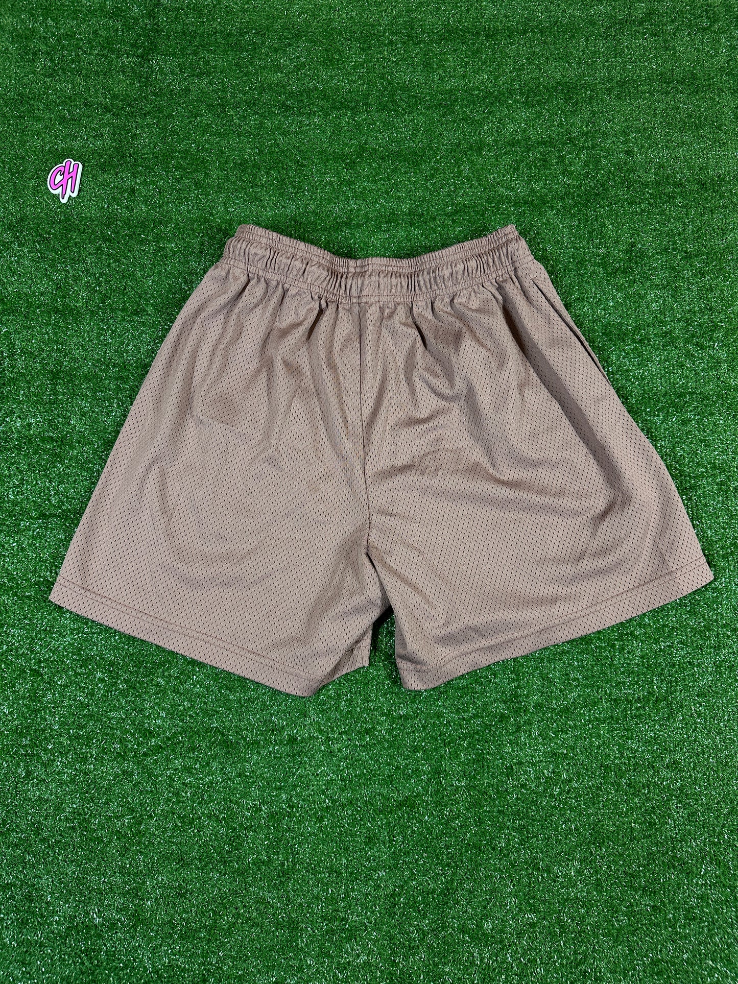 Eric Emmanual Brown/Neon Basic Men's Shorts (USED) - Size XL