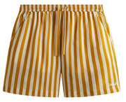 Kith Striped Cedar Short 'Flash' Size Small BRAND NEW