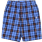 Bape Blue/Red Logo Check Sweat Shorts Size Medium