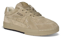 Palm Angels University Origin Suede 