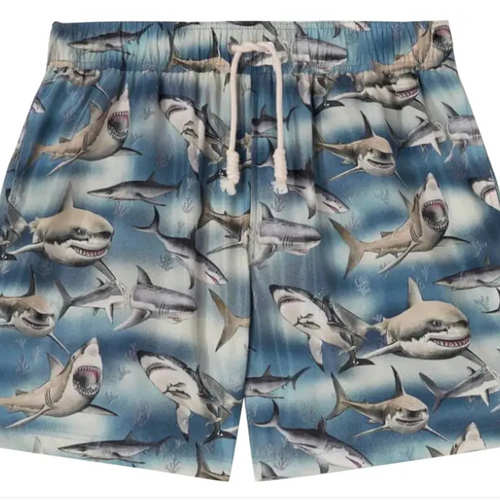 Palm Angels Shark Print Black/Blue/White Swimshorts Size Large