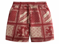 KITH Silk Twill Lewis Shorts - Bitters - Size Small