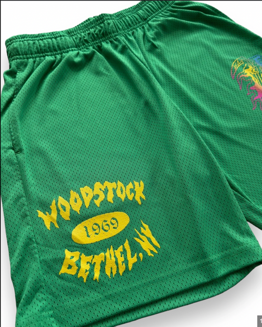 NEW Warren Lotas Exclusive 'Woodstock' Mesh Green Shorts SM